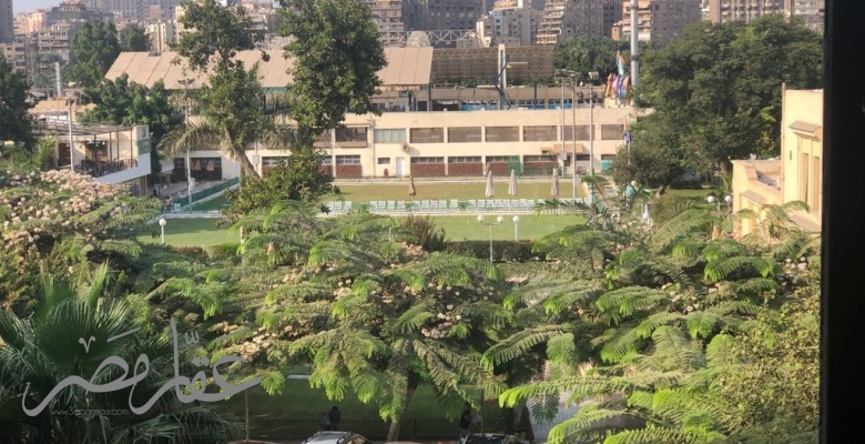 شقة للايجار في المهندسين   / Apartment for rent in Mohandeseen