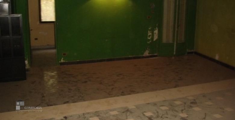 Unfurnished 2 level for rent 220.00 M2 in Giza, Mohandeseen