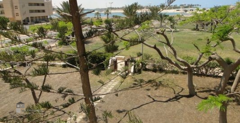 Furnished Chaleh for rent 0.00 M2 in North Coast, Marina