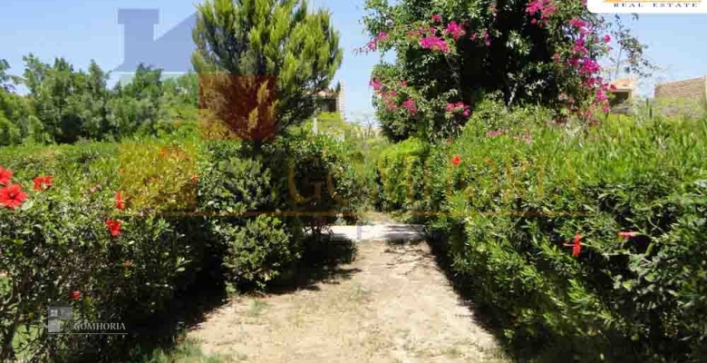 Furnished Chaleh for rent 0.00 M2 in North Coast, Marina