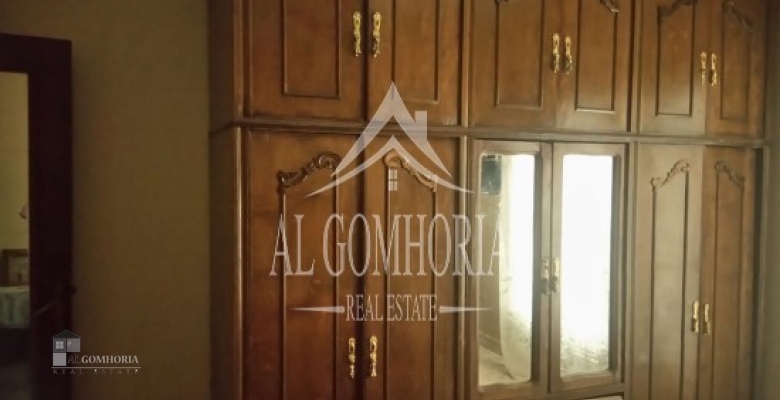 Furnished Apartment for rent 100.00 M2 in Giza, Dokki