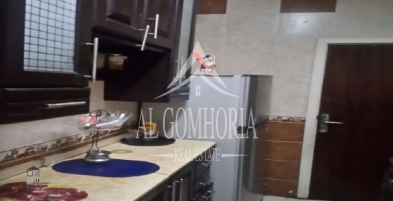 Furnished Apartment for rent 100.00 M2 in Giza, Dokki