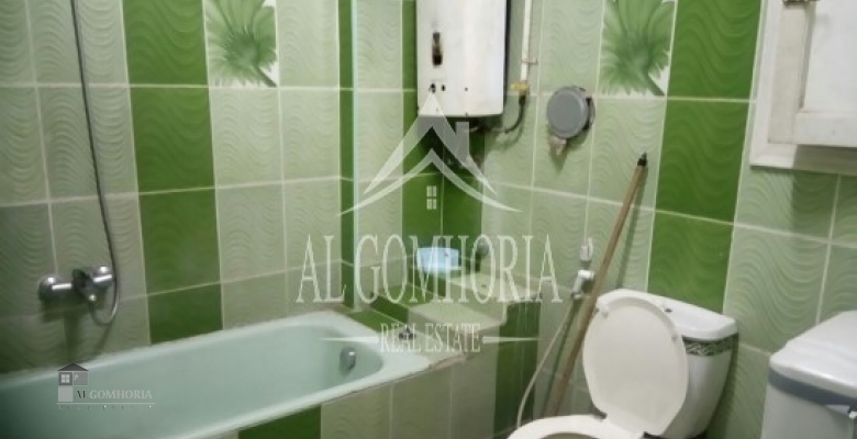 Furnished Apartment for rent 100.00 M2 in Giza, Dokki