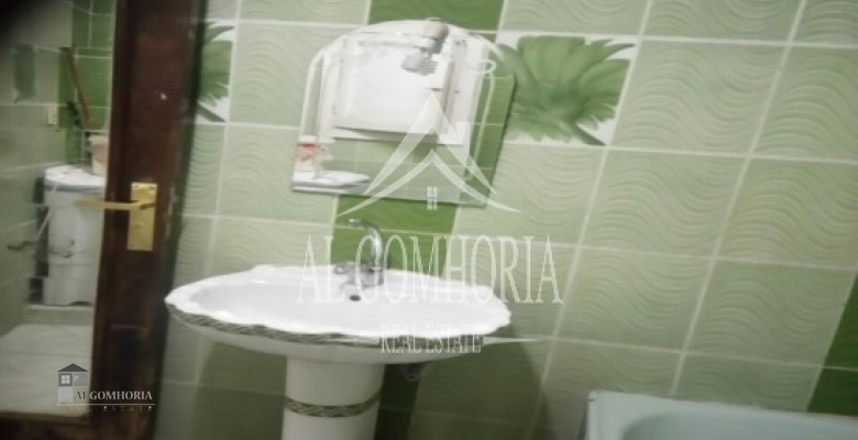 Furnished Apartment for rent 100.00 M2 in Giza, Dokki
