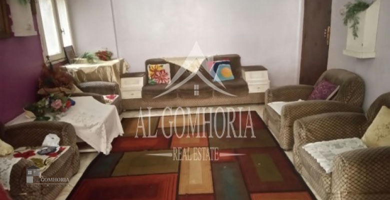 Furnished Apartment for rent 100.00 M2 in Giza, Dokki