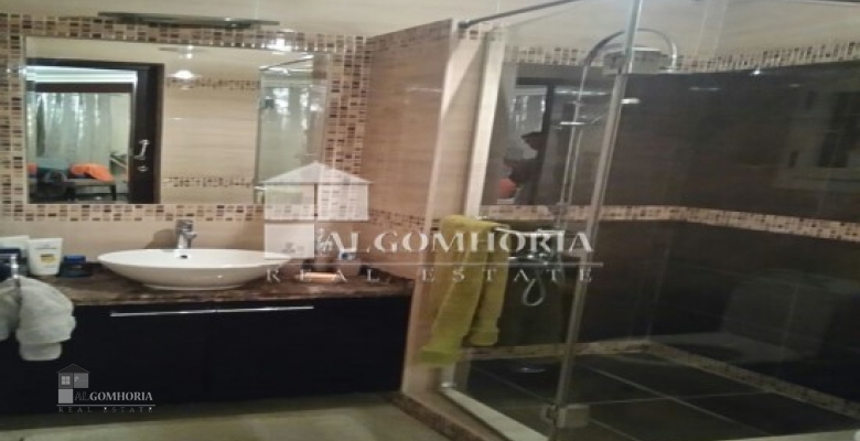 Furnished Apartment for rent 300.00 M2 in Giza, Dokki