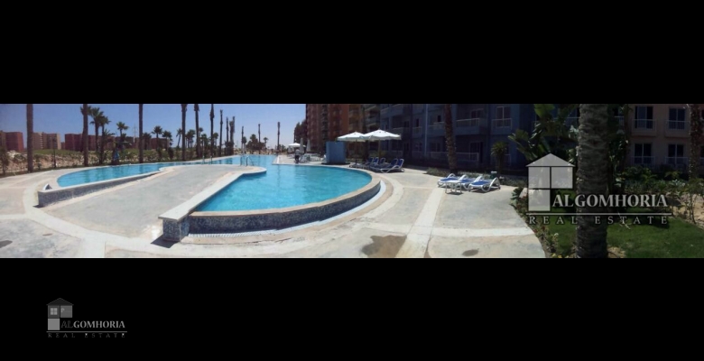 Furnished Chaleh for rent 0.00 M2 in North Coast, Golf Porto Marina