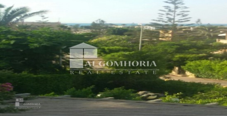 Furnished Villa for rent 0.00 M2 in North Coast, Marina