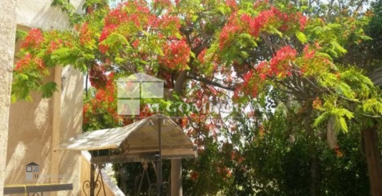 Furnished Chaleh for rent 0.00 M2 in North Coast, Marina