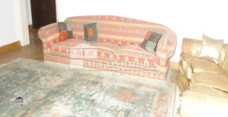 Furnished Apartment for rent 0.00 M2 in Giza, Agouza