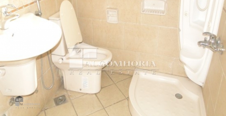 Furnished Apartment for rent 0.00 M2 in Giza, Agouza