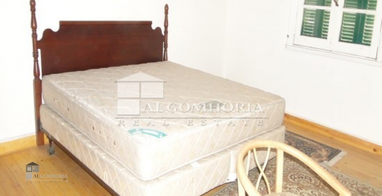 Furnished Apartment for rent 0.00 M2 in Giza, Agouza