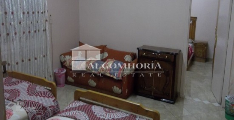 Furnished Apartment for rent 0.00 M2 in Giza, Agouza