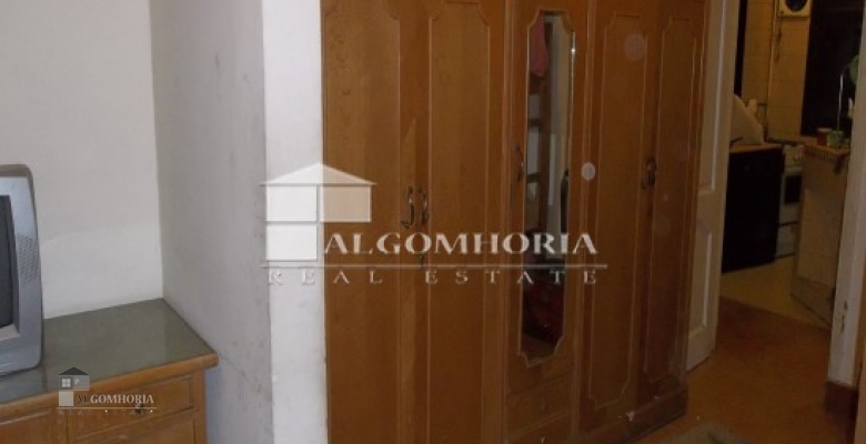 Furnished Apartment for rent 0.00 M2 in Giza, Agouza