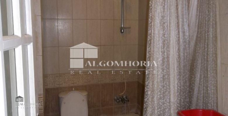 Furnished Apartment for rent 0.00 M2 in Giza, Agouza