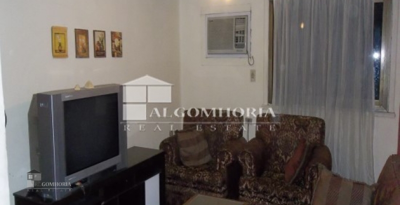 Furnished Apartment for rent 0.00 M2 in Giza, Agouza