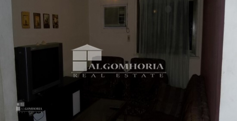 Furnished Apartment for rent 0.00 M2 in Giza, Agouza