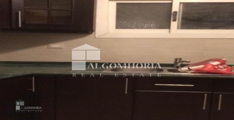 Furnished Apartment for rent 245.00 M2 in Giza, Giza