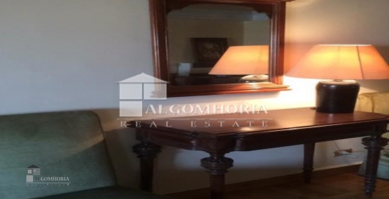 Furnished Apartment for rent 245.00 M2 in Giza, Giza