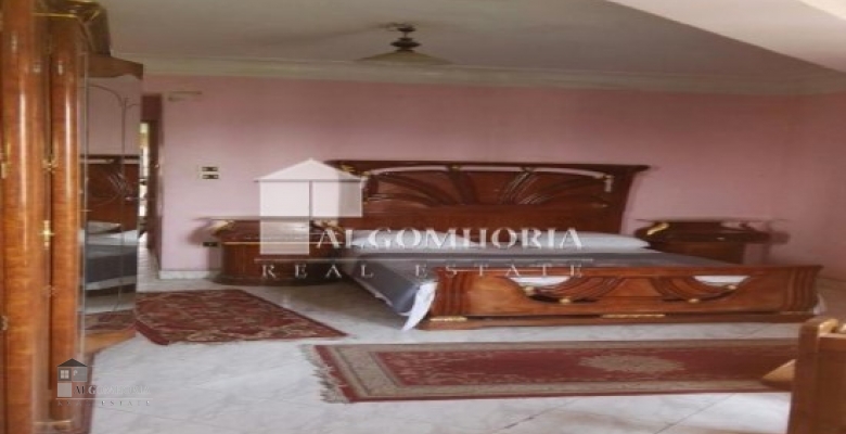 Furnished Apartment for rent 250.00 M2 in Giza, Agouza