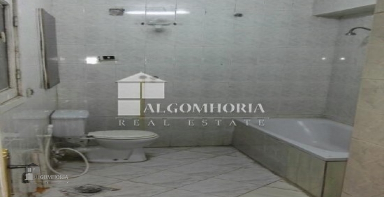 Furnished Apartment for rent 250.00 M2 in Giza, Agouza