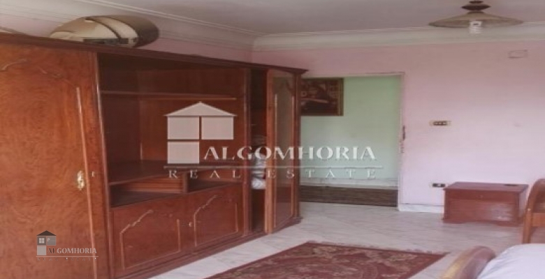 Furnished Apartment for rent 250.00 M2 in Giza, Agouza