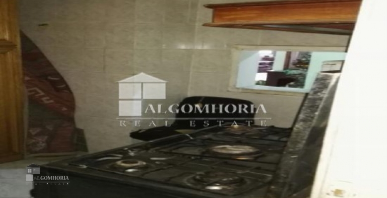 Furnished Apartment for rent 250.00 M2 in Giza, Agouza