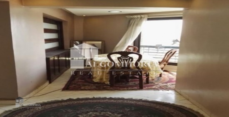 Furnished Apartment for rent 250.00 M2 in Giza, Agouza