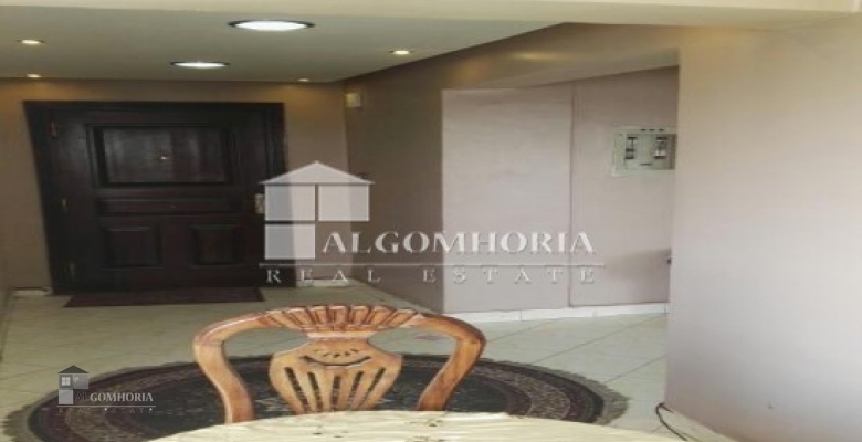 Furnished Apartment for rent 250.00 M2 in Giza, Agouza