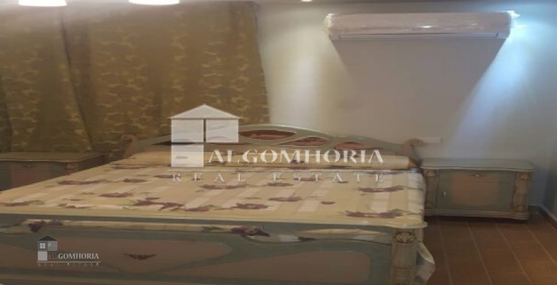 Furnished Duplex for rent 260.00 M2 in Giza, Mohandeseen