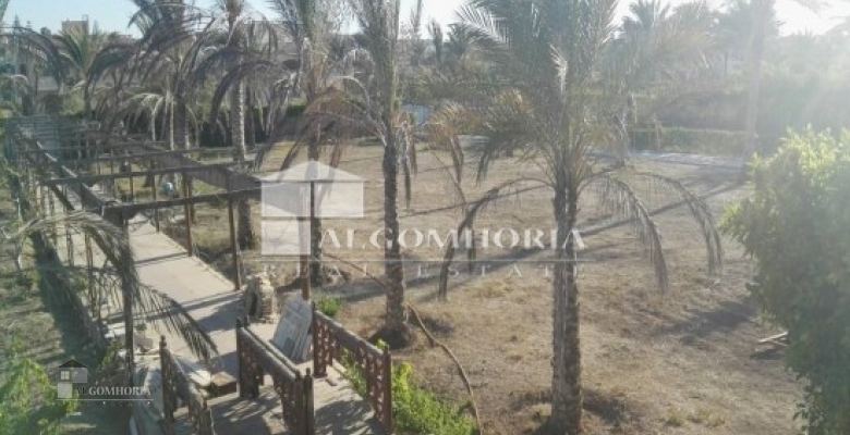 Furnished Villa for rent 0.00 M2 in North Coast, Marina