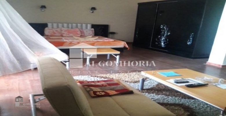 Furnished Duplex for rent 320.00 M2 in North Coast, Marina