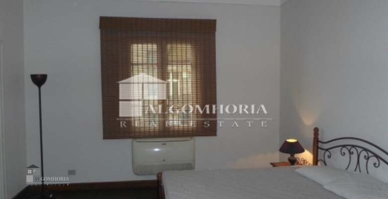 Furnished Apartment for rent 250.00 M2 in Giza, Agouza