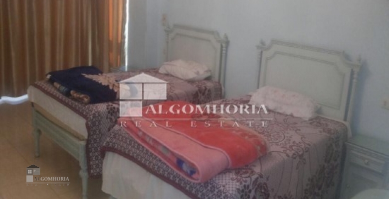 Furnished Duplex for rent 0.00 M2 in Giza, Mohandeseen
