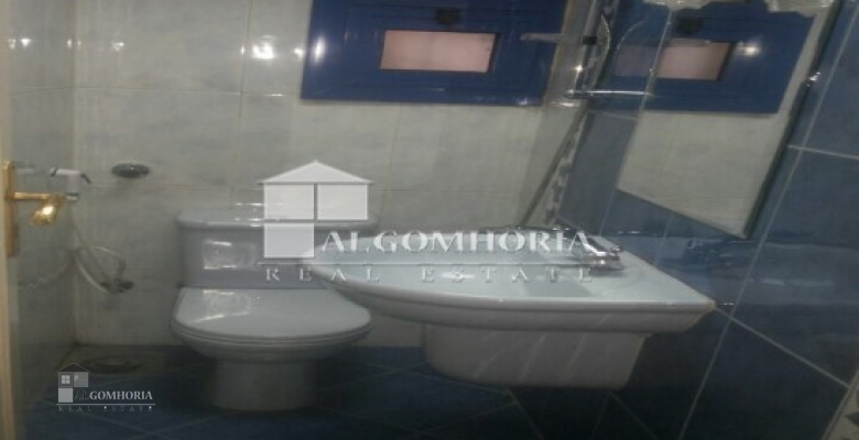 Furnished Duplex for rent 0.00 M2 in Giza, Mohandeseen