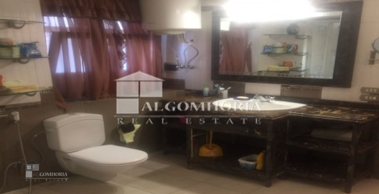 Furnished Apartment for rent 360.00 M2 in Cairo, Nasr city