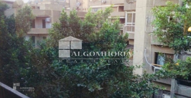 Furnished Apartment for rent 230 M2 in Giza, Dokki