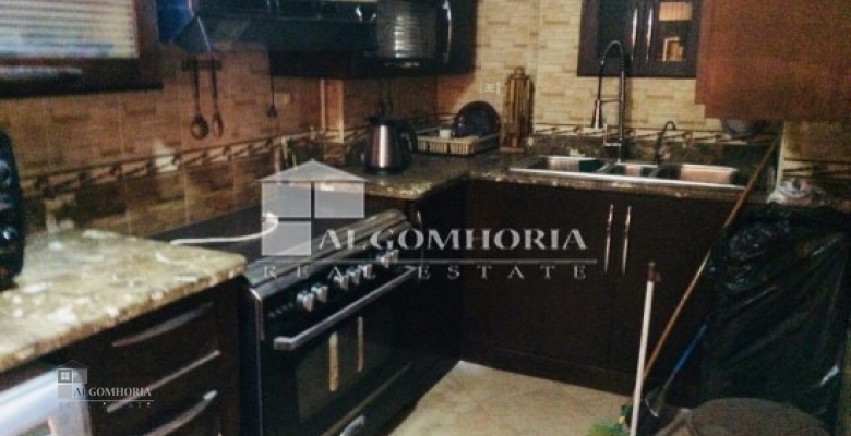 Furnished Apartment for rent 230 M2 in Giza, Dokki