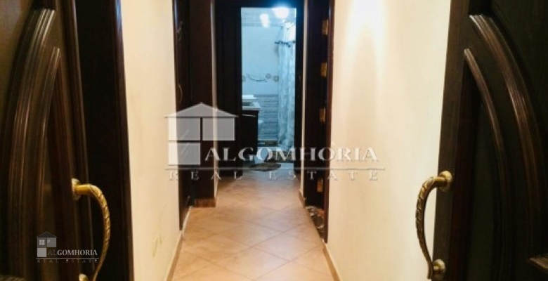Furnished Apartment for rent 230 M2 in Giza, Dokki