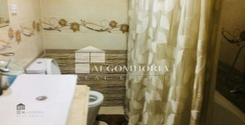 Furnished Apartment for rent 230 M2 in Giza, Dokki