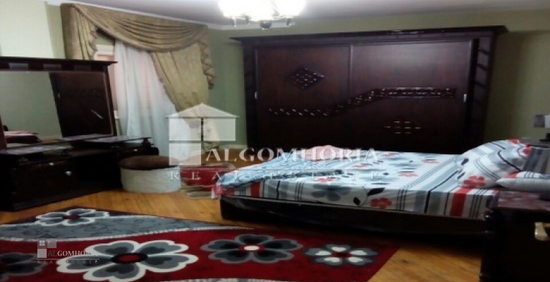 Furnished Apartment for rent 220.00 M2 in Giza, Dokki