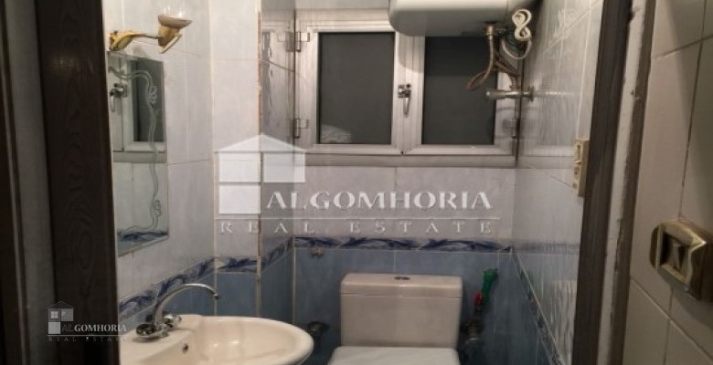 Furnished Apartment for rent 170.00 M2 in Giza, Agouza