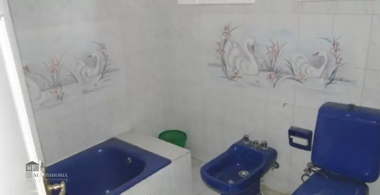Furnished Apartment for rent 0.00 M2 in Alexandria, El Maamora