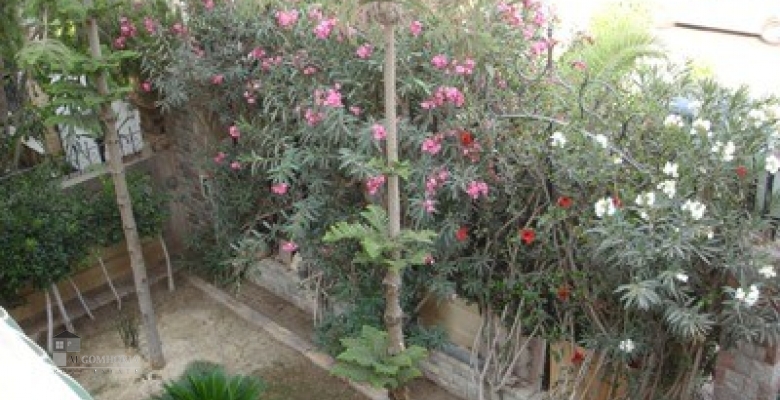 Furnished Villa for rent 0.00 M2 in Giza, 6th of october