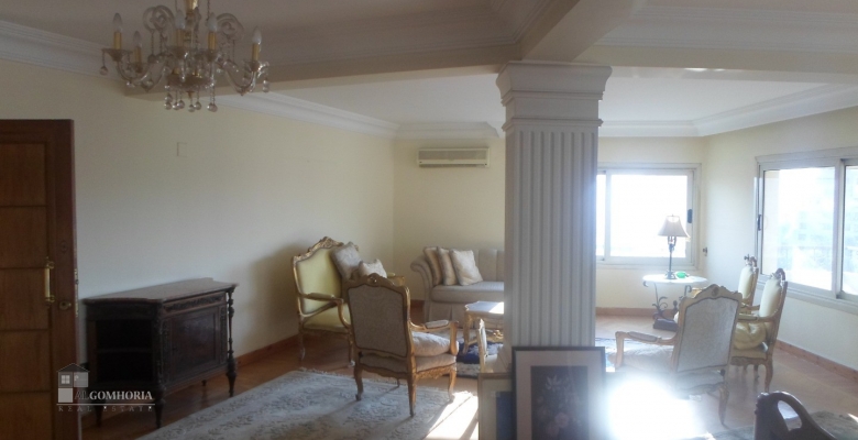 Furnished Apartment for rent 30000 M2 in Giza Dokki