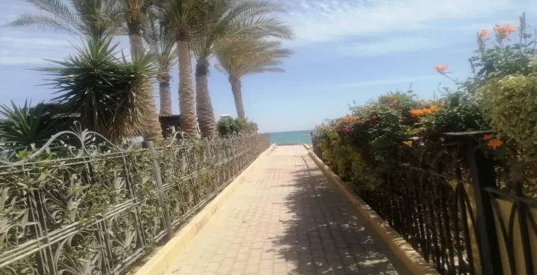 العين السخنة_كنارى بيتش