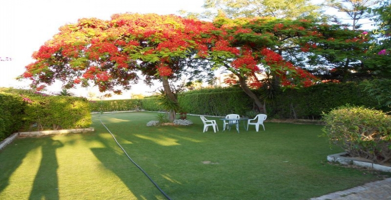 1 فيلا للايجار بالساحل الشمالى مارينا  - Villa for rent in the North Coast Marina 1